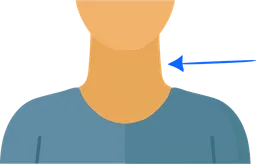 neck.webp